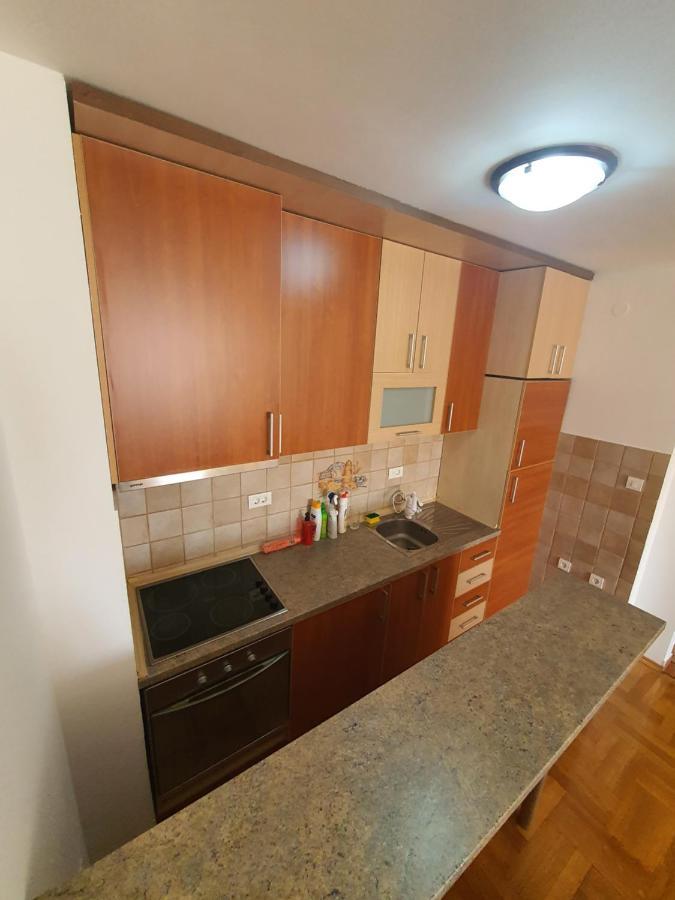 Oksana Apartment Podgoriţa Exterior foto